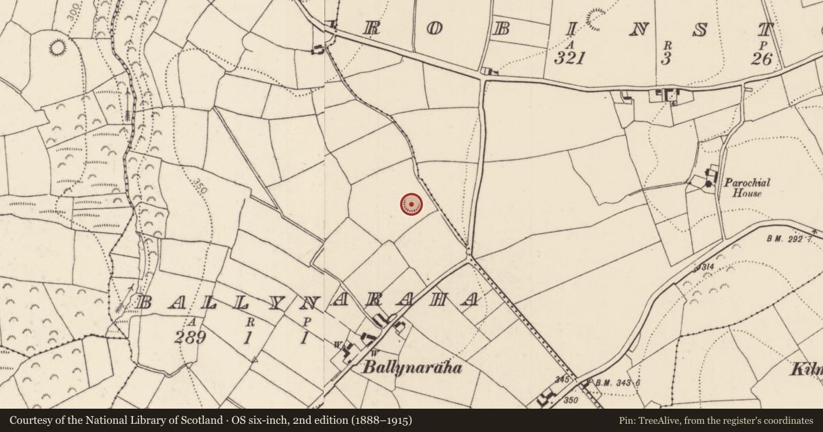 Ordnance Survey six-inch map, 2nd edition (1888–1915) covering the location of Ringfort - rath, Ballynaraha, County Kilkenny, with a pin at the register's coordinates