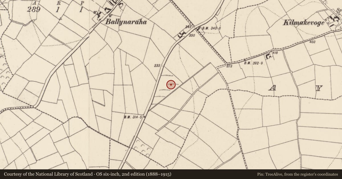 Ordnance Survey six-inch map, 2nd edition (1888–1915) covering the location of Fulacht fia, Ballynaraha, County Kilkenny, with a pin at the register's coordinates