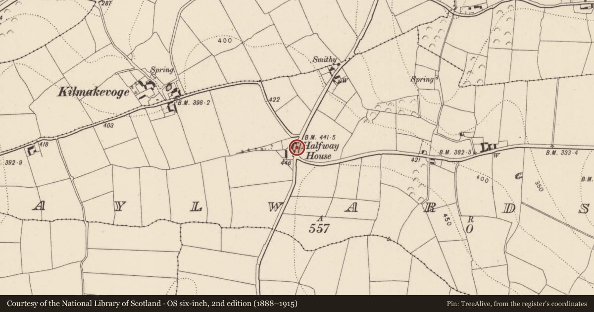Ordnance Survey six-inch map, 2nd edition (1888–1915) covering the location of Earthwork, Aylwardstown, County Kilkenny, with a pin at the register's coordinates