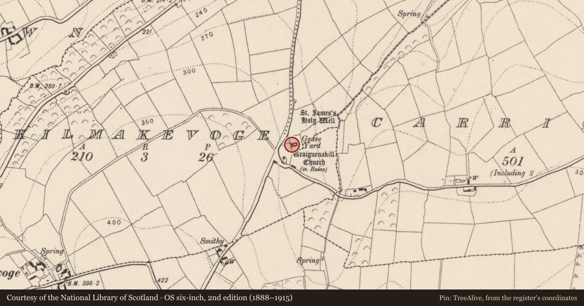 Ordnance Survey six-inch map, 2nd edition (1888–1915) covering the location of Church, Graiguenakill, County Kilkenny, with a pin at the register's coordinates