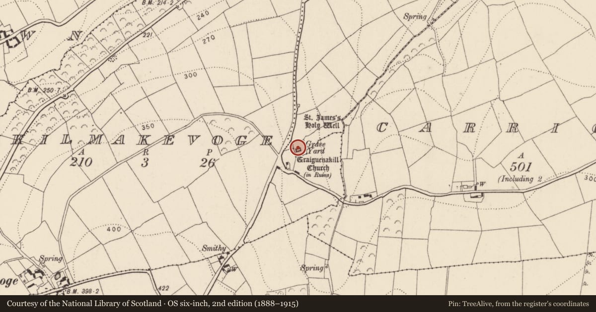 Ordnance Survey six-inch map, 2nd edition (1888–1915) covering the location of Graveyard, Graiguenakill, County Kilkenny, with a pin at the register's coordinates