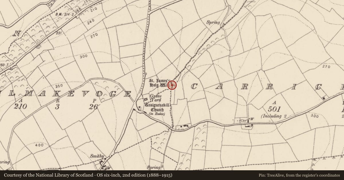 Ordnance Survey six-inch map, 2nd edition (1888–1915) covering the location of Ritual site - holy well, Carrickcloney, County Kilkenny, with a pin at the register's coordinates