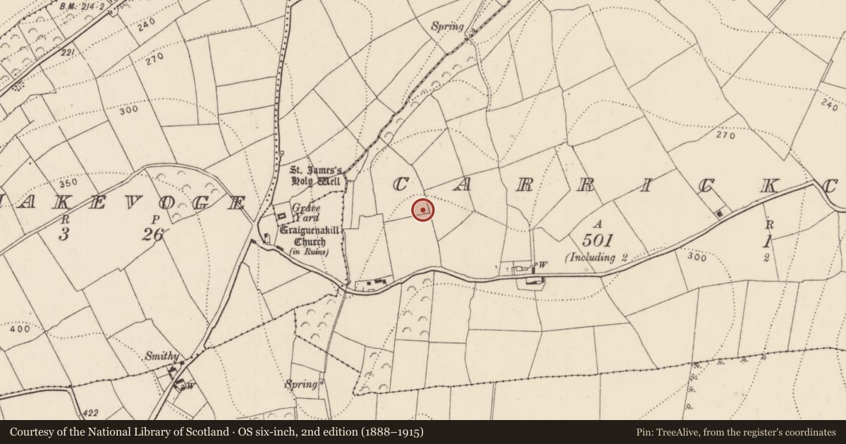 Ordnance Survey six-inch map, 2nd edition (1888–1915) covering the location of Ringfort - rath, Carrickcloney, County Kilkenny, with a pin at the register's coordinates