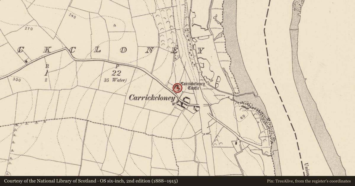 Ordnance Survey six-inch map, 2nd edition (1888–1915) covering the location of Castle - tower house, Carrickcloney, County Kilkenny, with a pin at the register's coordinates