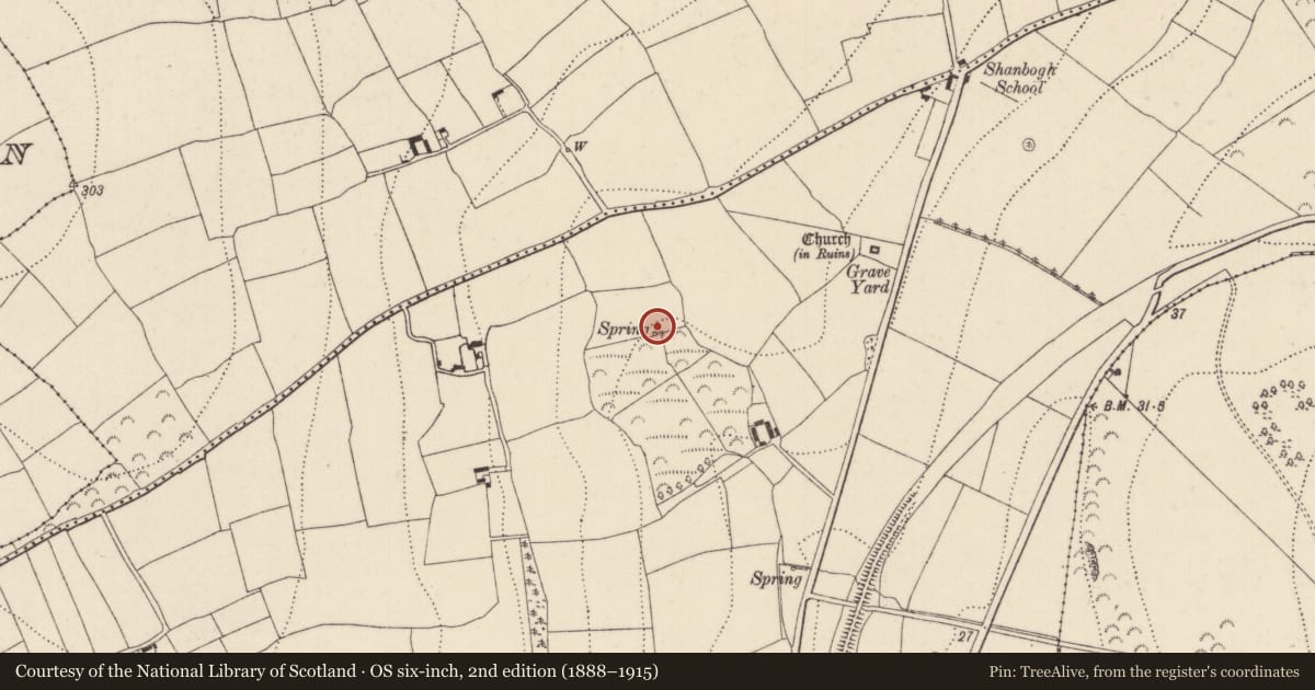 Ordnance Survey six-inch map, 2nd edition (1888–1915) covering the location of Ritual site - holy well, Shanbogh Upper, County Kilkenny, with a pin at the register's coordinates
