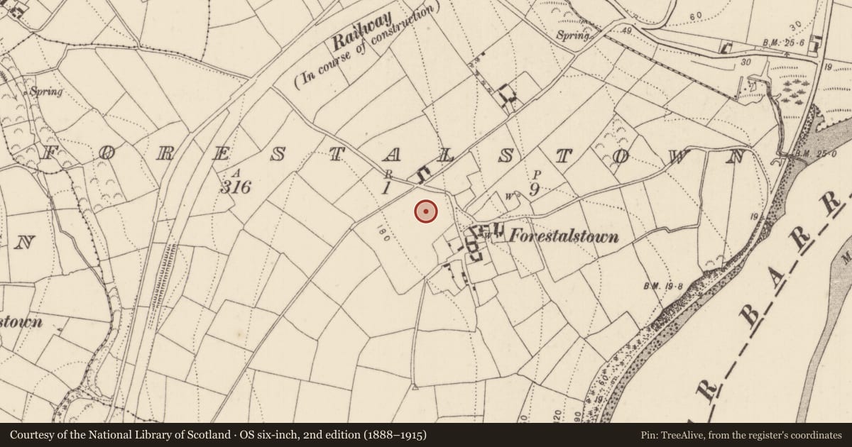 Ordnance Survey six-inch map, 2nd edition (1888–1915) covering the location of Castle - unclassified, Forestalstown, County Kilkenny, with a pin at the register's coordinates