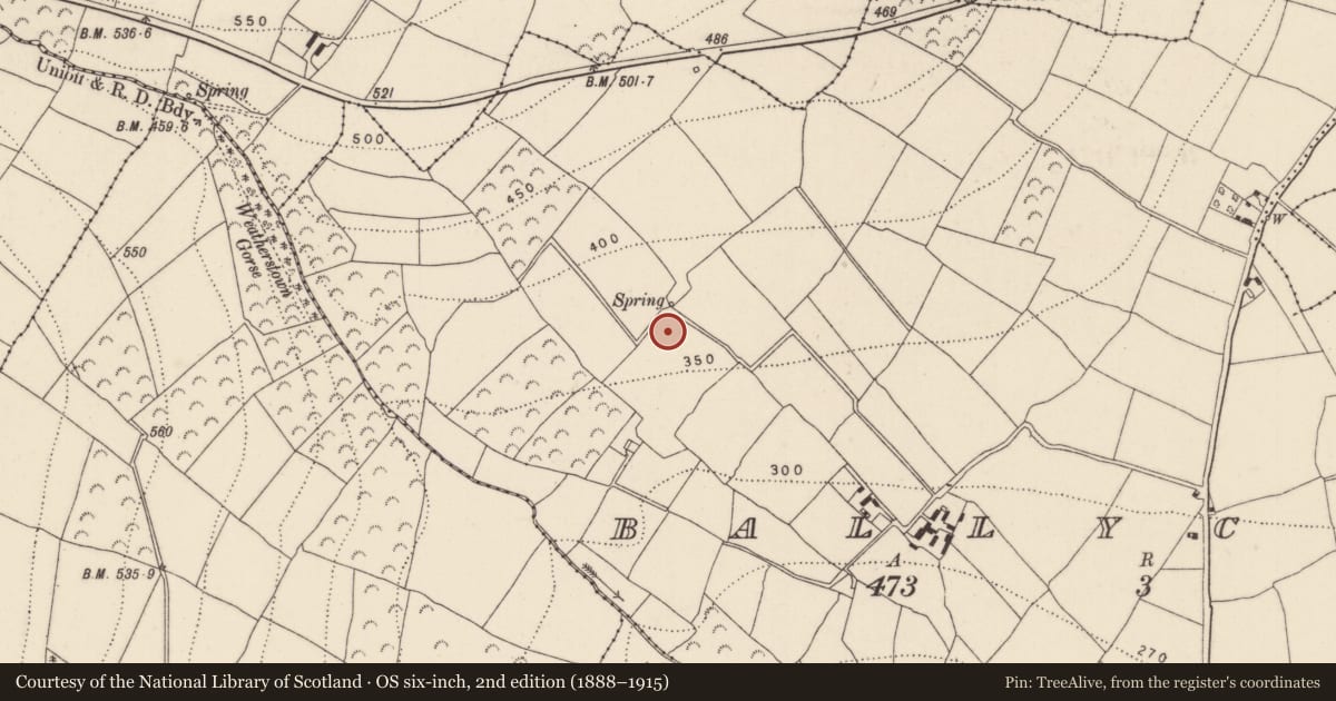 Ordnance Survey six-inch map, 2nd edition (1888–1915) covering the location of Fulacht fia, Ballycrony, County Kilkenny, with a pin at the register's coordinates