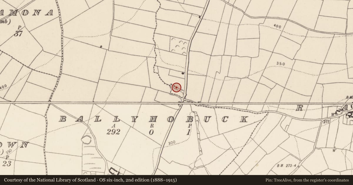 Ordnance Survey six-inch map, 2nd edition (1888–1915) covering the location of Fulacht fia, Rathinure, County Kilkenny, with a pin at the register's coordinates