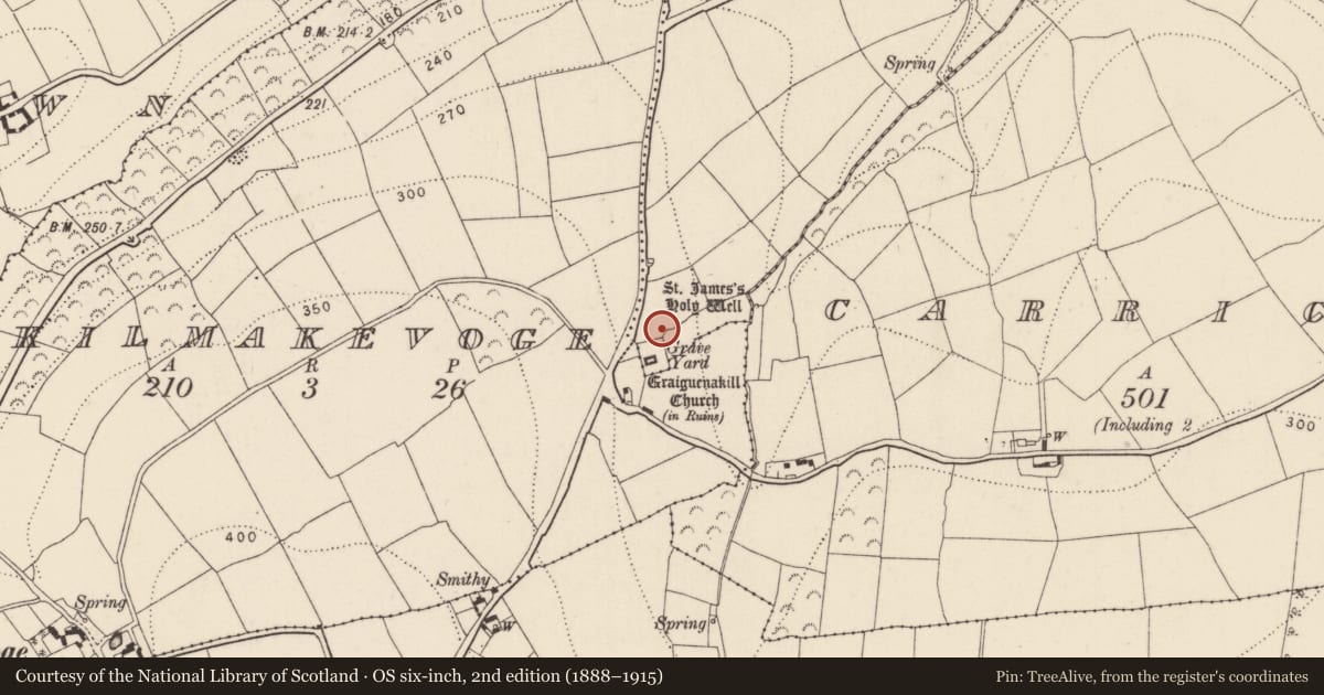Ordnance Survey six-inch map, 2nd edition (1888–1915) covering the location of Enclosure, Graiguenakill, County Kilkenny, with a pin at the register's coordinates