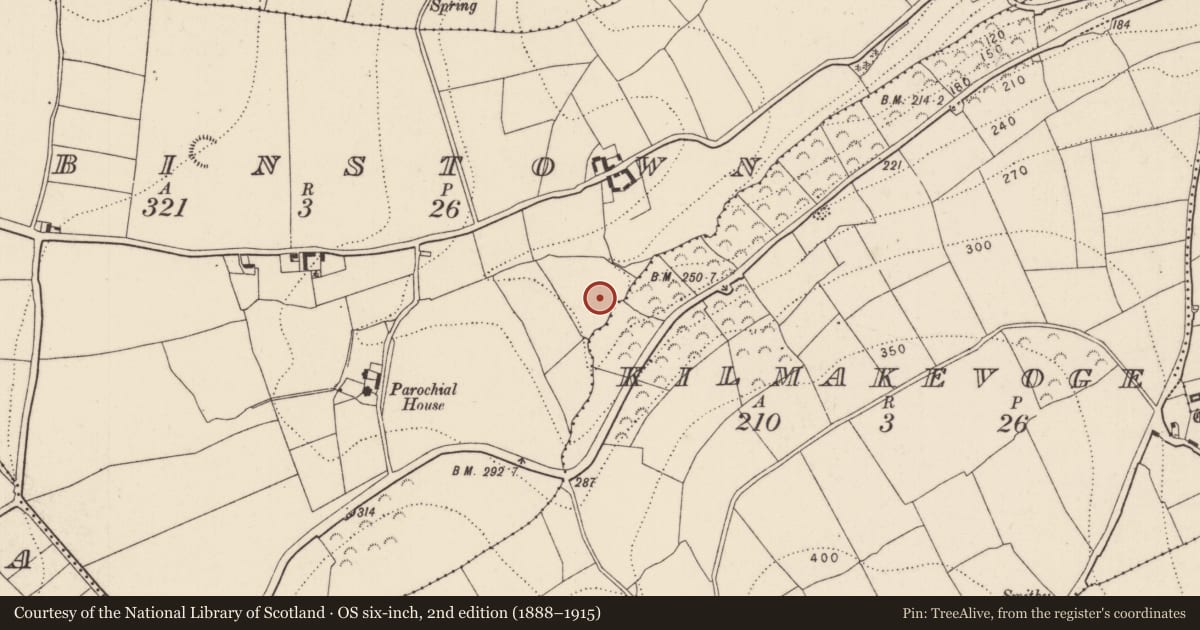 Ordnance Survey six-inch map, 2nd edition (1888–1915) covering the location of Standing stone, Robinstown, County Kilkenny, with a pin at the register's coordinates