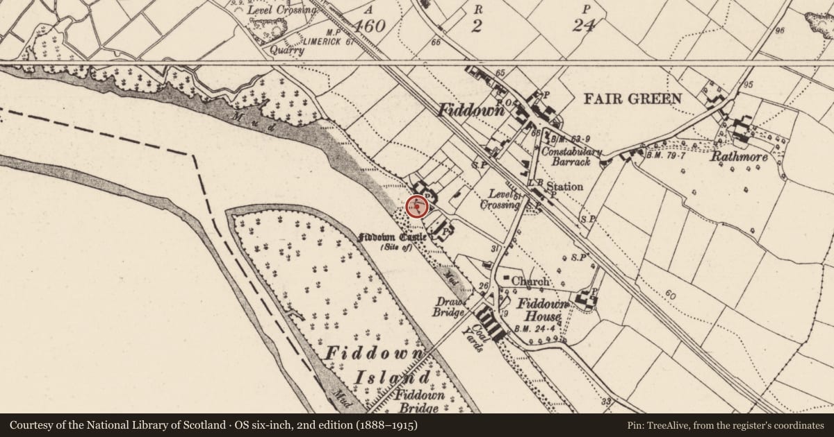 Ordnance Survey six-inch map, 2nd edition (1888–1915) covering the location of Castle - motte, Fiddown, County Kilkenny, with a pin at the register's coordinates