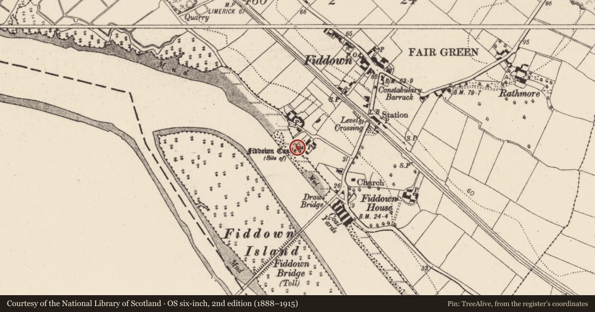 Ordnance Survey six-inch map, 2nd edition (1888–1915) covering the location of Castle - tower house, Fiddown, County Kilkenny, with a pin at the register's coordinates