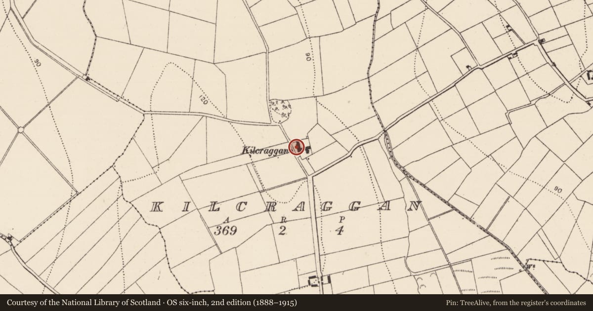 Ordnance Survey six-inch map, 2nd edition (1888–1915) covering the location of Castle - tower house, Kilcraggan, County Kilkenny, with a pin at the register's coordinates