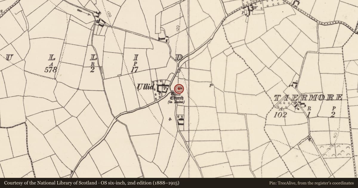 Ordnance Survey six-inch map, 2nd edition (1888–1915) covering the location of Graveyard, Ullid, County Kilkenny, with a pin at the register's coordinates