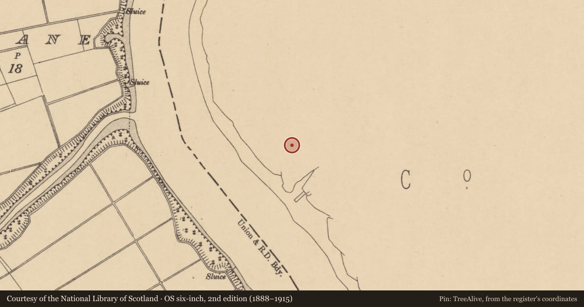 Ordnance Survey six-inch map, 2nd edition (1888–1915) covering the location of Tomb - chest tomb, Pollrone, County Kilkenny, with a pin at the register's coordinates