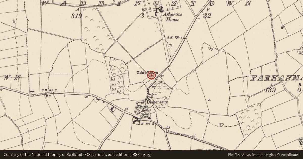 Ordnance Survey six-inch map, 2nd edition (1888–1915) covering the location of Well, Waddingstown, County Kilkenny, with a pin at the register's coordinates