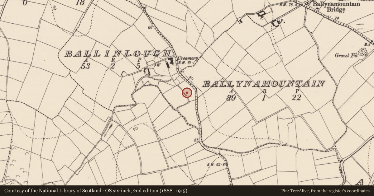 Ordnance Survey six-inch map, 2nd edition (1888–1915) covering the location of Fulacht fia, Ballinlough, County Kilkenny, with a pin at the register's coordinates