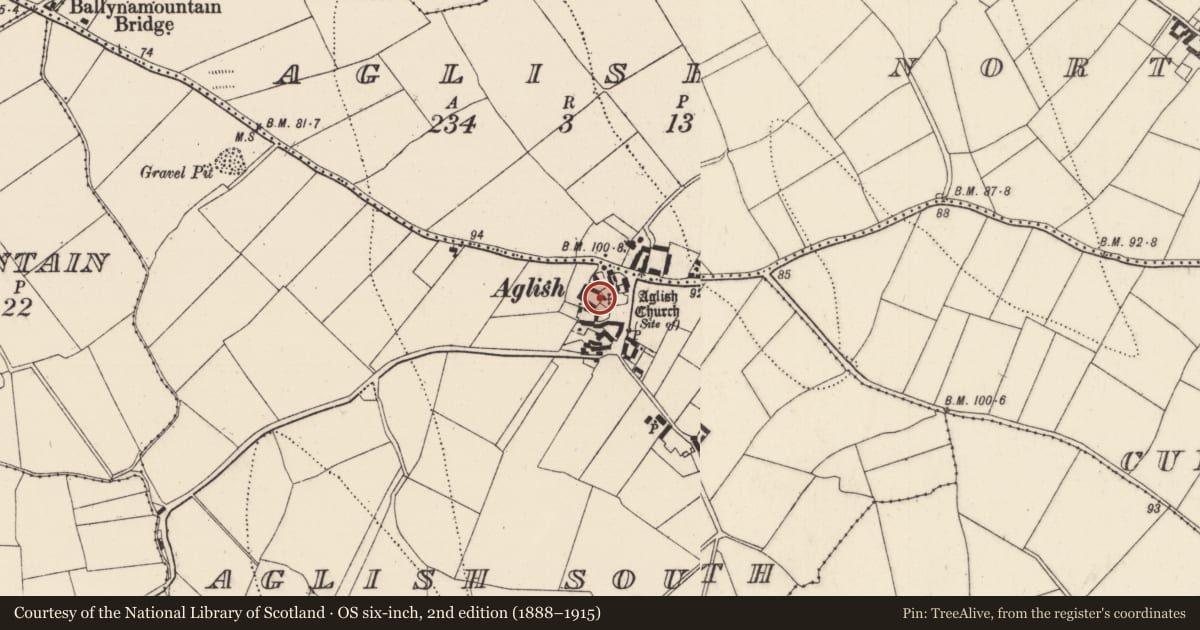 Ordnance Survey six-inch map, 2nd edition (1888–1915) covering the location of Graveyard, Aglish South, County Kilkenny, with a pin at the register's coordinates