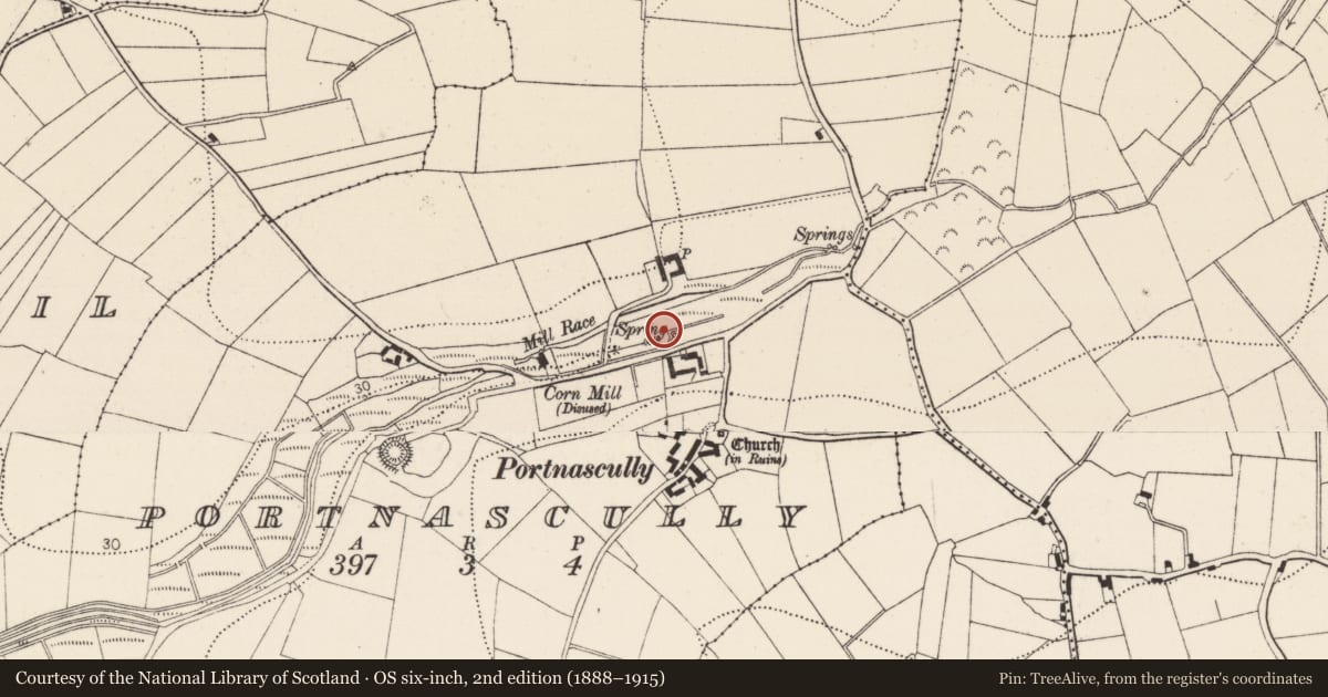Ordnance Survey six-inch map, 2nd edition (1888–1915) covering the location of Ritual site - holy well, Portnascully, County Kilkenny, with a pin at the register's coordinates
