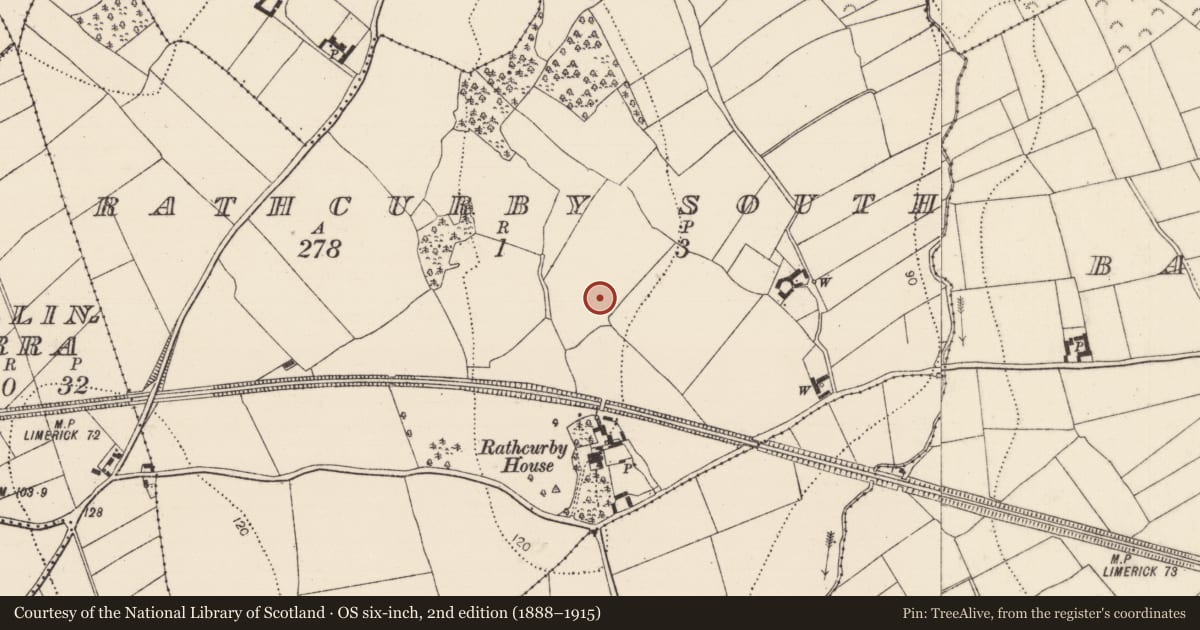 Ordnance Survey six-inch map, 2nd edition (1888–1915) covering the location of Megalithic tomb - unclassified, Rathcurby South, County Kilkenny, with a pin at the register's coordinates