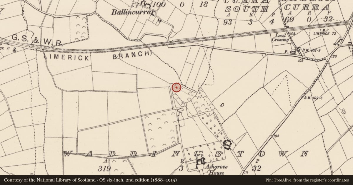 Ordnance Survey six-inch map, 2nd edition (1888–1915) covering the location of Souterrain, Waddingstown, County Kilkenny, with a pin at the register's coordinates