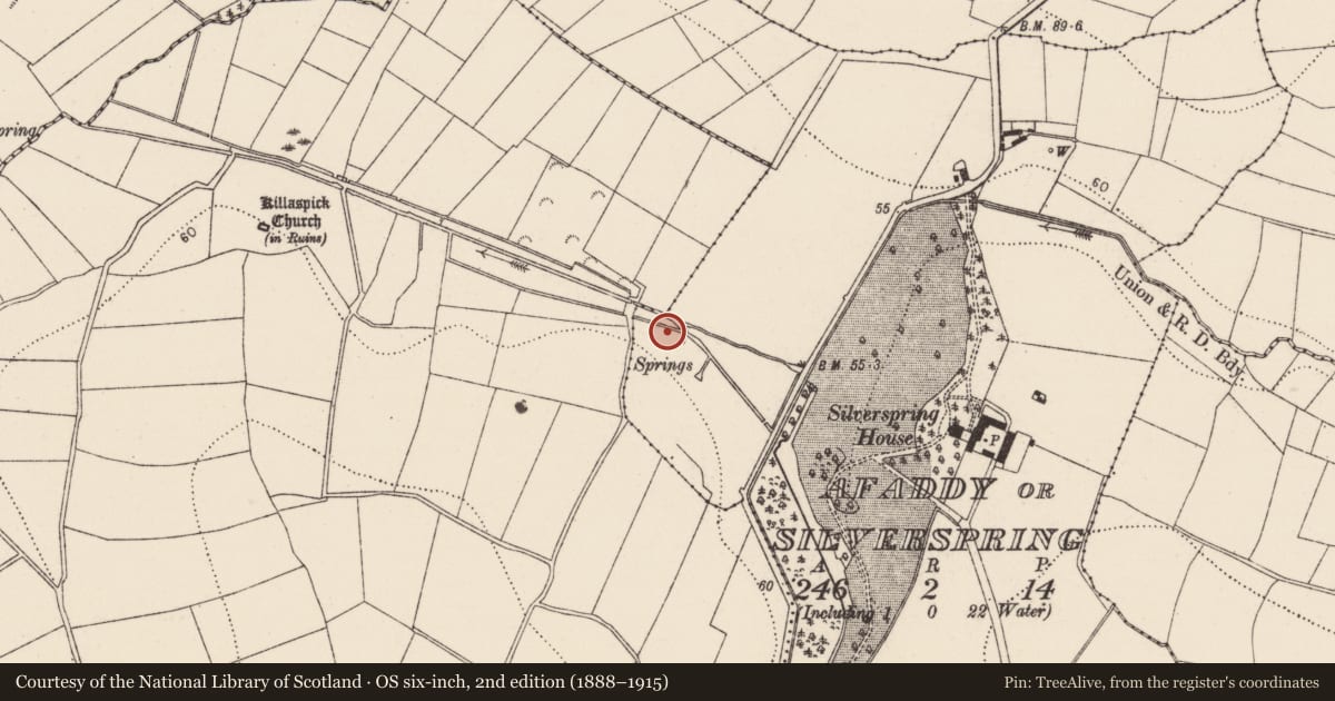 Ordnance Survey six-inch map, 2nd edition (1888–1915) covering the location of Burnt spread, Afaddy Or Silverspring, County Kilkenny, with a pin at the register's coordinates