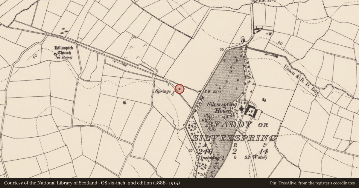 Ordnance Survey six-inch map, 2nd edition (1888–1915) covering the location of Burnt spread, Afaddy Or Silverspring, County Kilkenny, with a pin at the register's coordinates