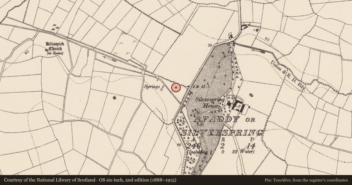 Ordnance Survey six-inch map, 2nd edition (1888–1915) covering the location of Burnt spread, Afaddy Or Silverspring, County Kilkenny, with a pin at the register's coordinates