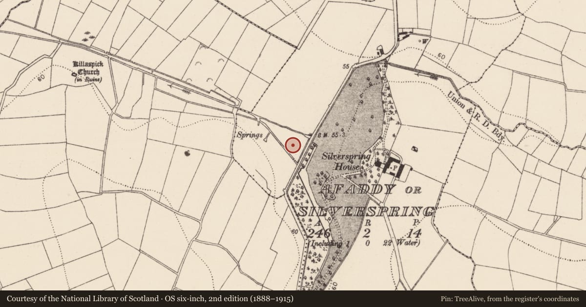Ordnance Survey six-inch map, 2nd edition (1888–1915) covering the location of Burnt spread, Afaddy Or Silverspring, County Kilkenny, with a pin at the register's coordinates