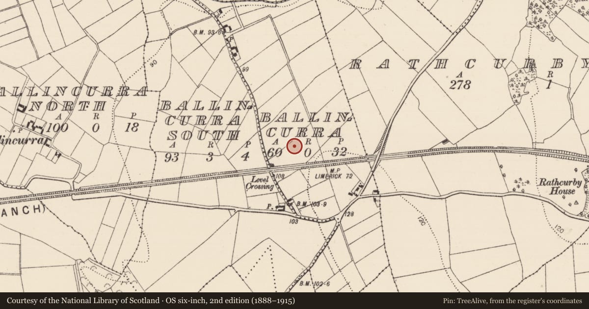 Ordnance Survey six-inch map, 2nd edition (1888–1915) covering the location of Enclosure, Ballincurra, County Kilkenny, with a pin at the register's coordinates
