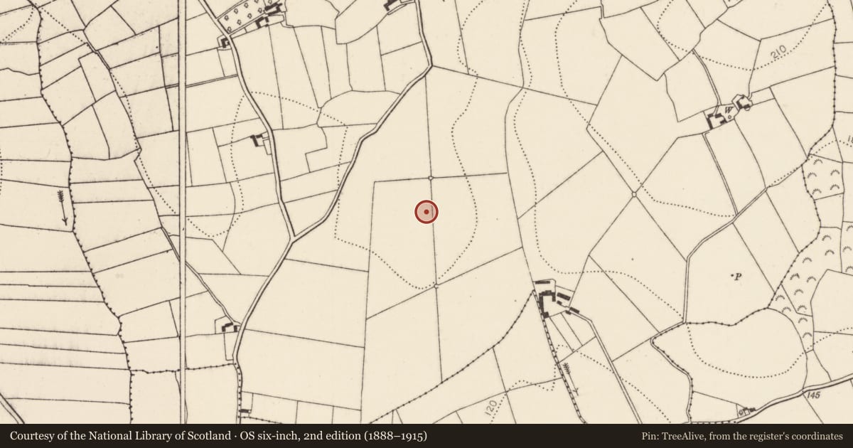 Ordnance Survey six-inch map, 2nd edition (1888–1915) covering the location of Enclosure, Molum, County Kilkenny, with a pin at the register's coordinates