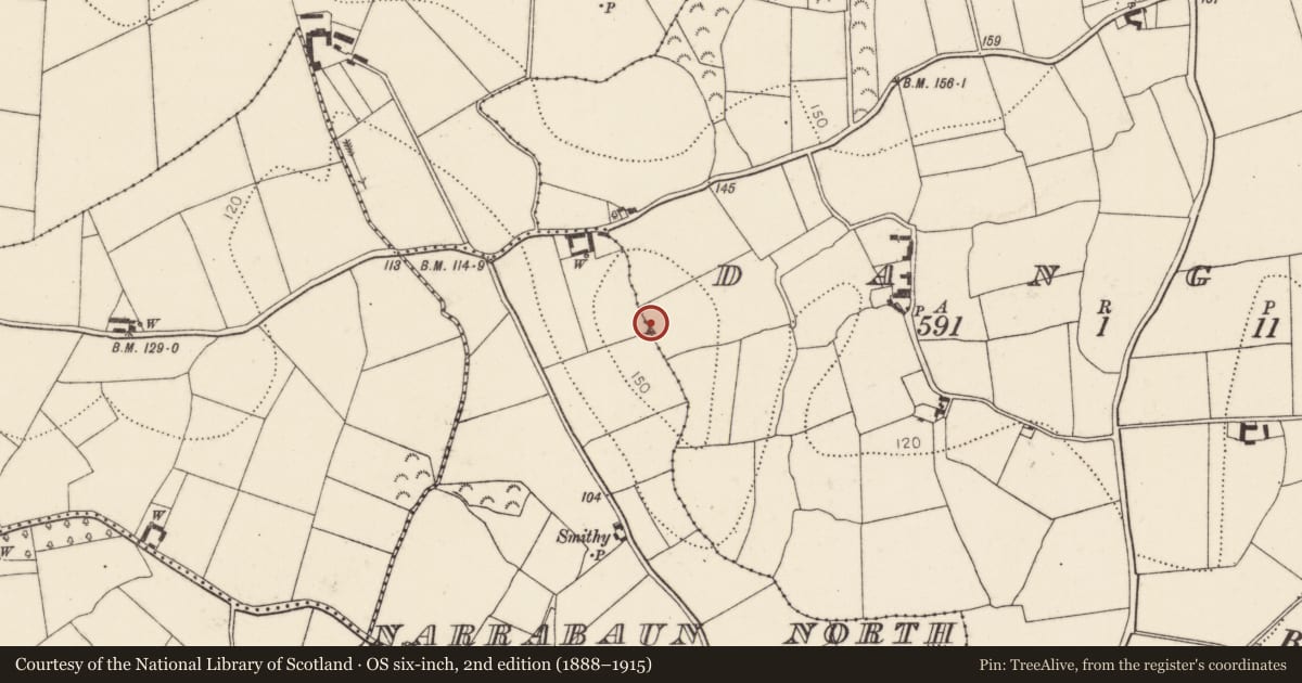 Ordnance Survey six-inch map, 2nd edition (1888–1915) covering the location of Ringfort - unclassified, Dangan, County Kilkenny, with a pin at the register's coordinates