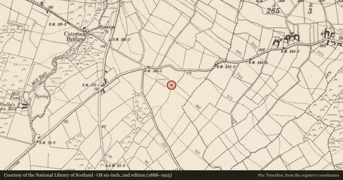 Ordnance Survey six-inch map, 2nd edition (1888–1915) covering the location of Moated site, Ballincrea, County Kilkenny, with a pin at the register's coordinates