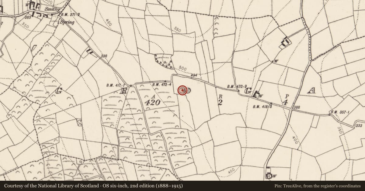Ordnance Survey six-inch map, 2nd edition (1888–1915) covering the location of Ringfort - rath, Grogan, County Kilkenny, with a pin at the register's coordinates