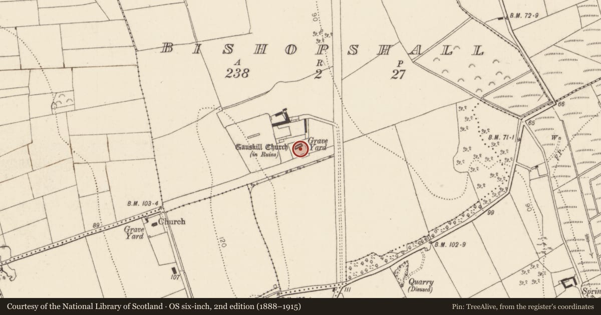 Ordnance Survey six-inch map, 2nd edition (1888–1915) covering the location of Graveyard, Bishopshall, County Kilkenny, with a pin at the register's coordinates