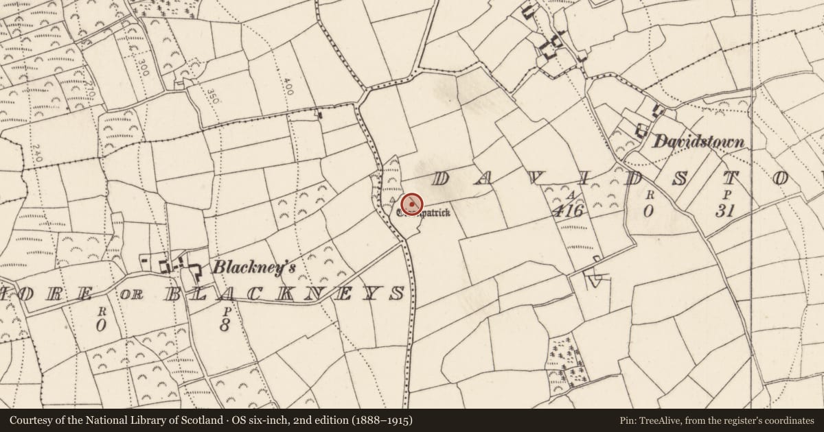 Ordnance Survey six-inch map, 2nd edition (1888–1915) covering the location of Bullaun stone, Davidstown, County Kilkenny, with a pin at the register's coordinates