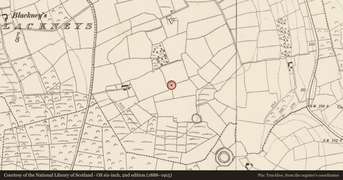 Ordnance Survey six-inch map, 2nd edition (1888–1915) covering the location of Ringfort - rath, Davidstown, County Kilkenny, with a pin at the register's coordinates