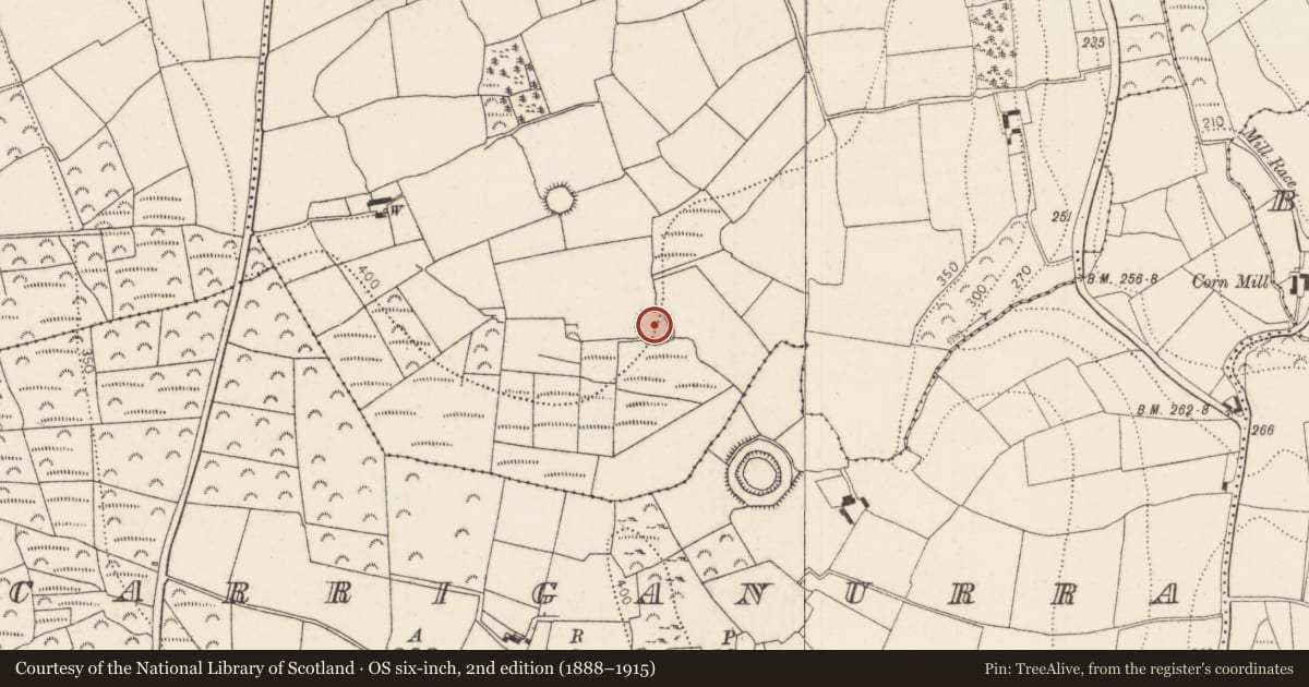 Ordnance Survey six-inch map, 2nd edition (1888–1915) covering the location of Ringfort - rath, Davidstown, County Kilkenny, with a pin at the register's coordinates