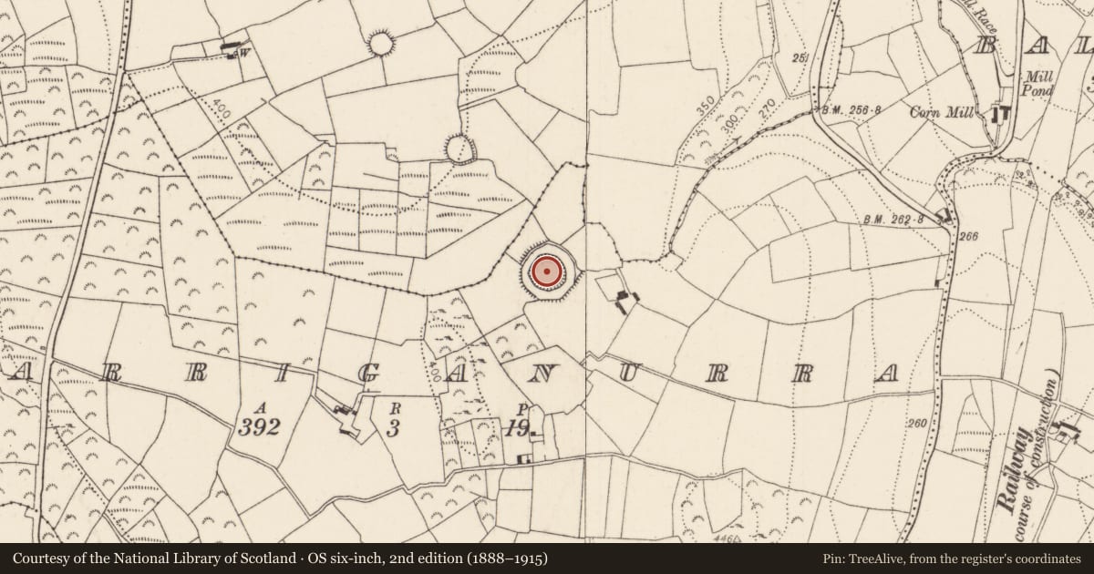 Ordnance Survey six-inch map, 2nd edition (1888–1915) covering the location of Ringfort - rath, Carriganurra, County Kilkenny, with a pin at the register's coordinates