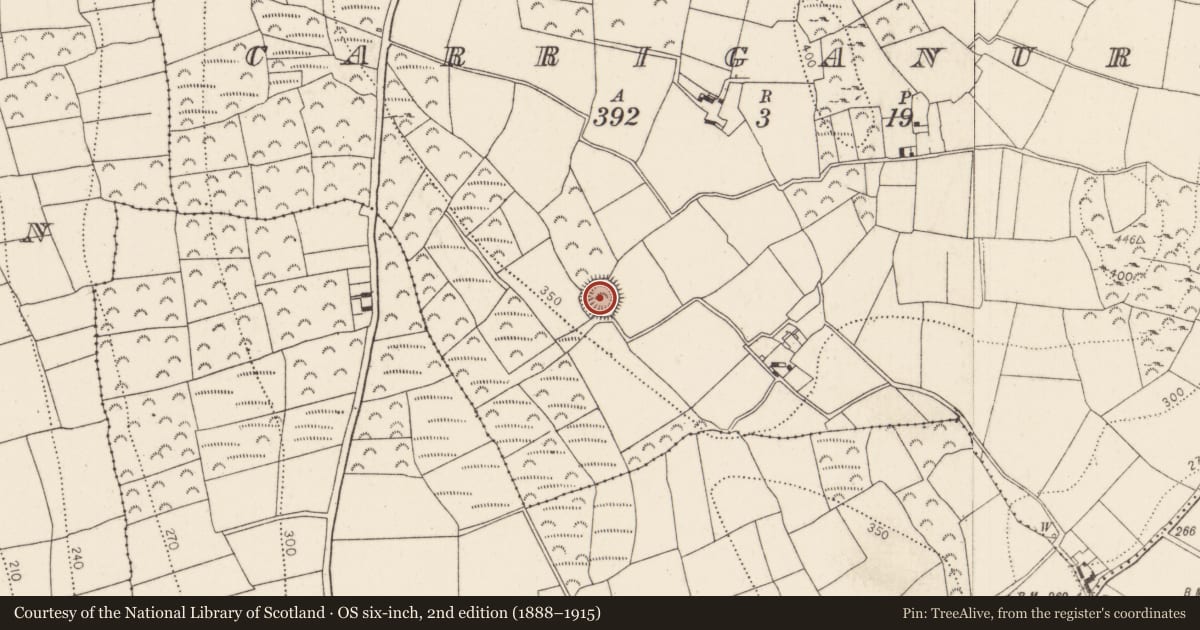 Ordnance Survey six-inch map, 2nd edition (1888–1915) covering the location of Ringfort - rath, Carriganurra, County Kilkenny, with a pin at the register's coordinates