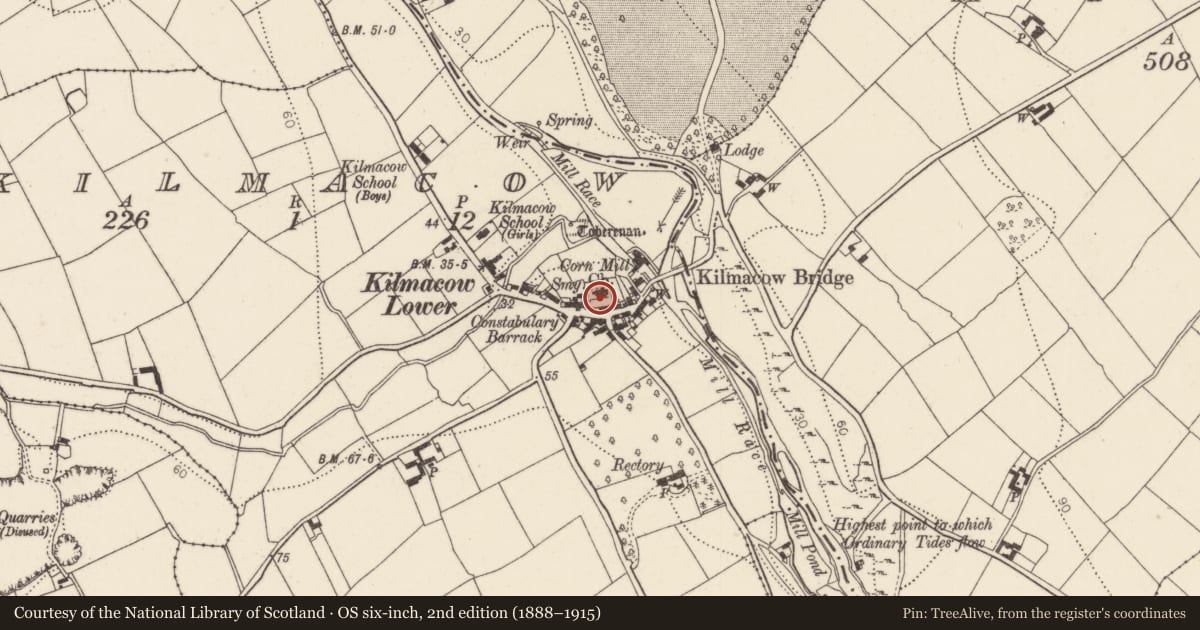 Ordnance Survey six-inch map, 2nd edition (1888–1915) covering the location of Graveyard, Kilmacow, County Kilkenny, with a pin at the register's coordinates