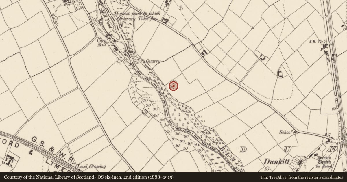 Ordnance Survey six-inch map, 2nd edition (1888–1915) covering the location of Ringfort - rath, Dunkitt, County Kilkenny, with a pin at the register's coordinates