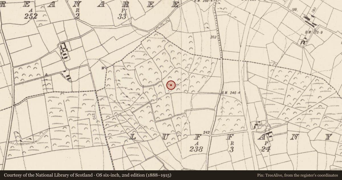 Ordnance Survey six-inch map, 2nd edition (1888–1915) covering the location of Kiln, Luffany, County Kilkenny, with a pin at the register's coordinates