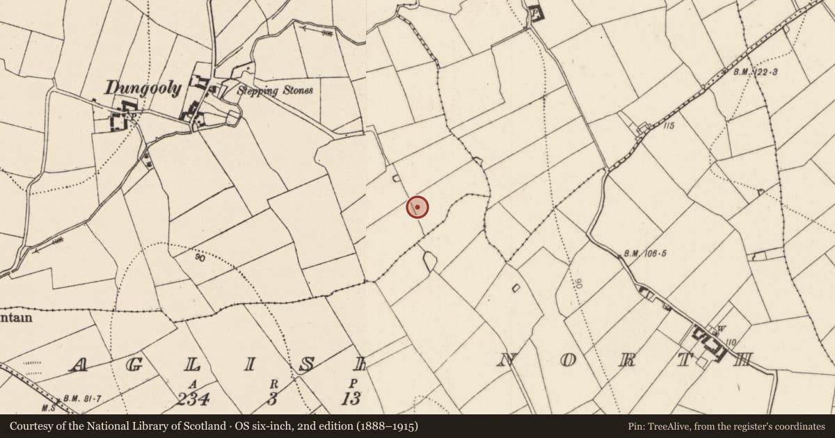 Ordnance Survey six-inch map, 2nd edition (1888–1915) covering the location of Enclosure, Dungooly, County Kilkenny, with a pin at the register's coordinates