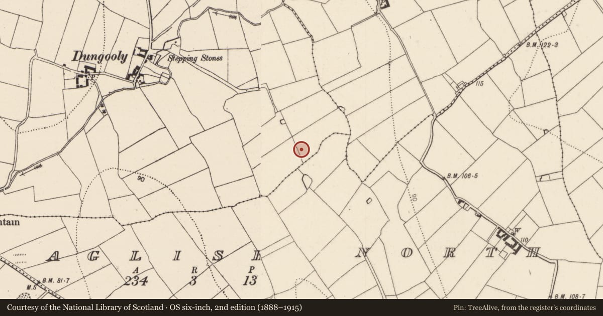 Ordnance Survey six-inch map, 2nd edition (1888–1915) covering the location of Enclosure, Dungooly, County Kilkenny, with a pin at the register's coordinates