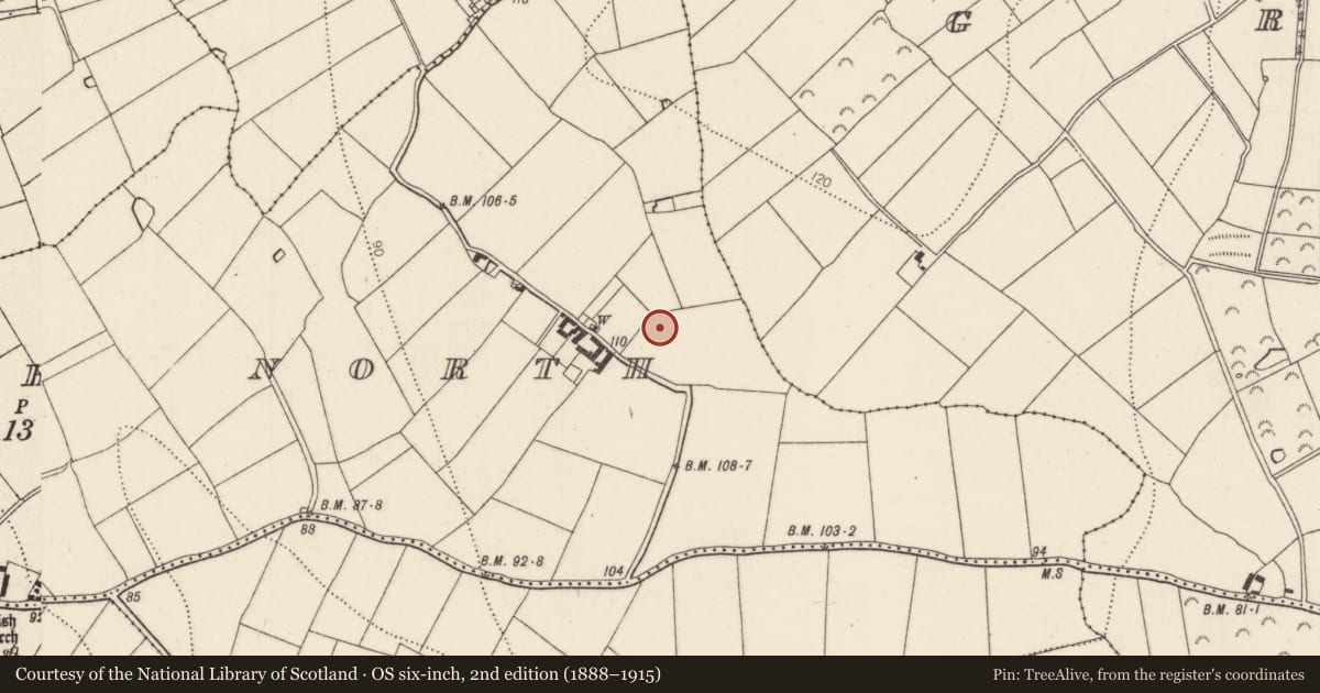 Ordnance Survey six-inch map, 2nd edition (1888–1915) covering the location of Fulacht fia, Aglish North, County Kilkenny, with a pin at the register's coordinates