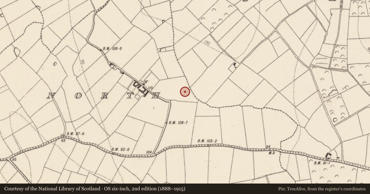 Ordnance Survey six-inch map, 2nd edition (1888–1915) covering the location of Fulacht fia, Aglish North, County Kilkenny, with a pin at the register's coordinates