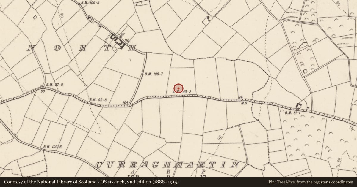 Ordnance Survey six-inch map, 2nd edition (1888–1915) covering the location of Fulacht fia, Aglish North, County Kilkenny, with a pin at the register's coordinates