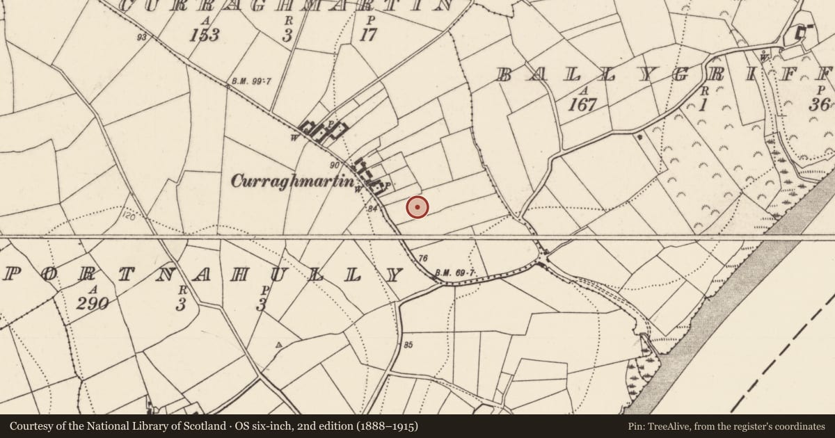 Ordnance Survey six-inch map, 2nd edition (1888–1915) covering the location of Fulacht fia, Curraghmartin, County Kilkenny, with a pin at the register's coordinates