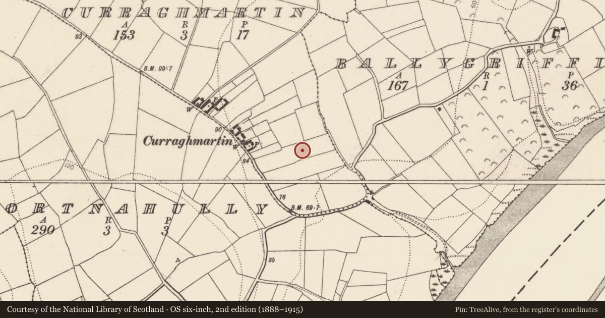 Ordnance Survey six-inch map, 2nd edition (1888–1915) covering the location of Fulacht fia, Curraghmartin, County Kilkenny, with a pin at the register's coordinates